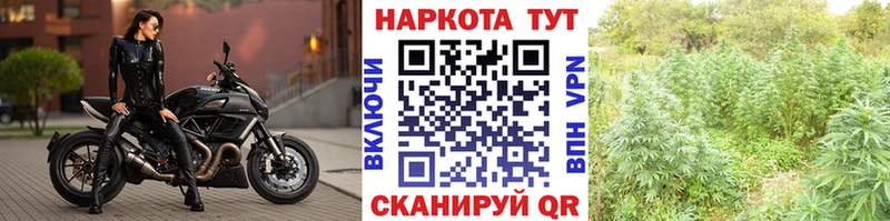 Наркошоп купить Alpha-PVP  Псилоцибиновые грибы  АМФ  ГАШИШ  Мефедрон  Конопля  Кирсанов