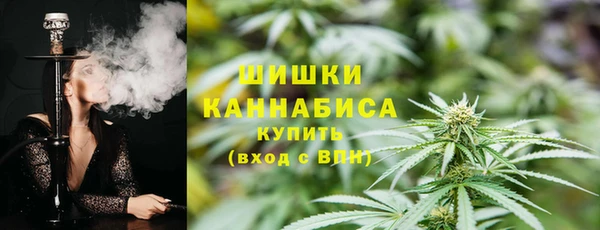 сатива Елизово