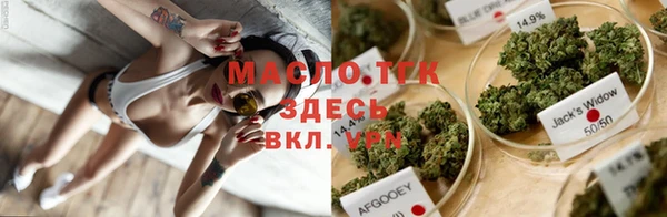 шишки Дмитров