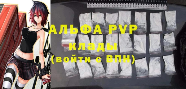 шишки Дмитров
