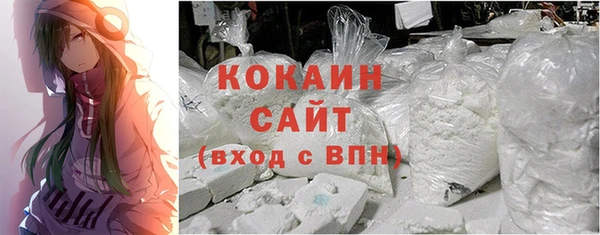 шишки Дмитров