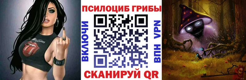 Купить закладки  Кирсанов  Псилоцибиновые грибы ЛСД 