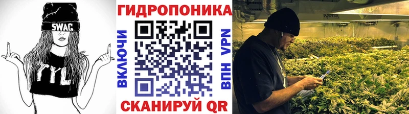 Купить где  Кирсанов  Шишки марихуана OG Kush 